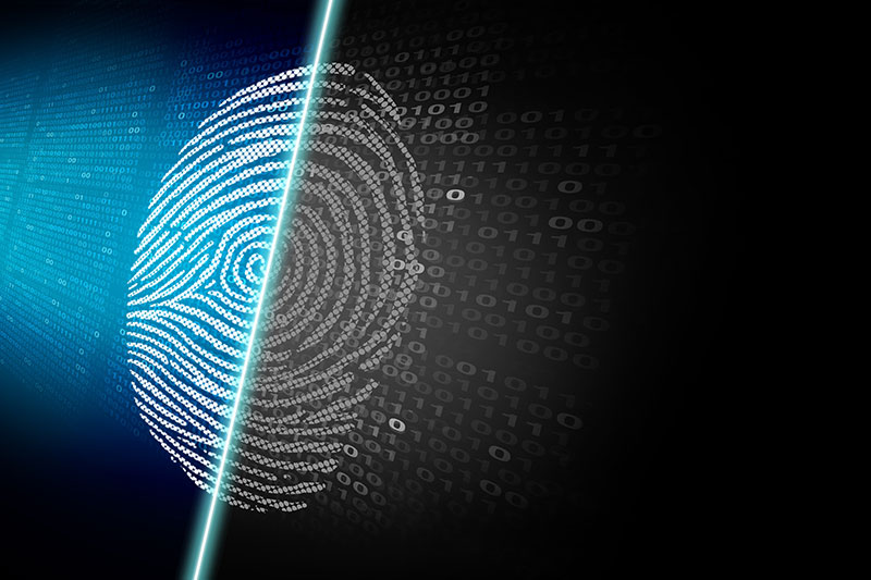 Biometrics in gambling: security and convenience